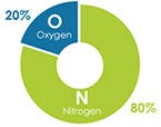 Air, 80% Nitrogen and 20% Oxygen Air, 80% Nitrogen and 20% Oxygen